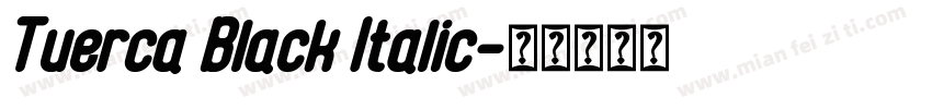 Tuerca Black Italic字体转换